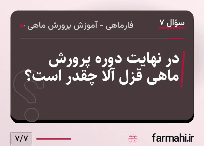 در نهایت دوره پرورش ماهی قزل آلا چقدر است؟