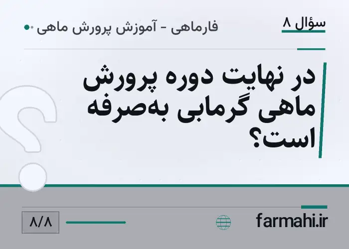 در نهایت دوره پرورش ماهی گرمابی به‌صرفه است؟
