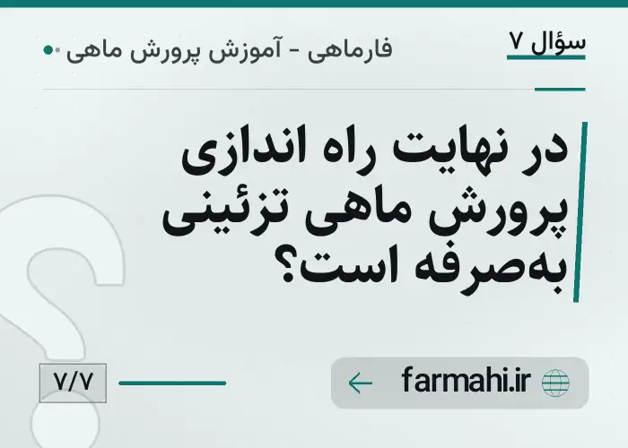 در نهایت راه اندازی پرورش ماهی تزئینی به‌صرفه است؟
