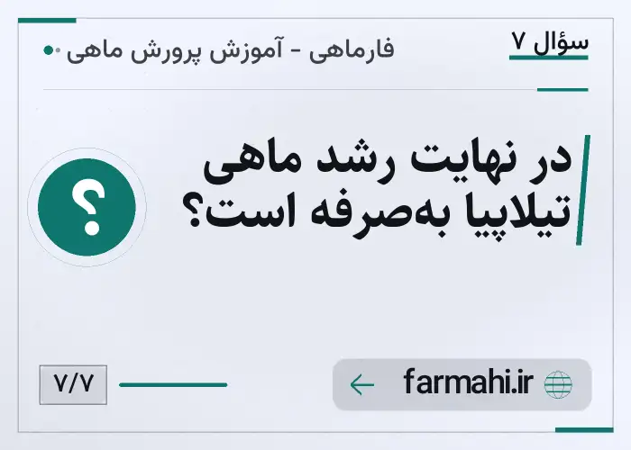 در نهایت رشد ماهی تیلاپیا به‌صرفه است؟