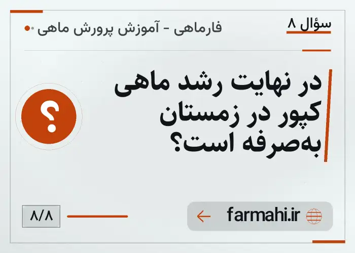 در نهایت رشد ماهی کپور در زمستان به‌صرفه است؟