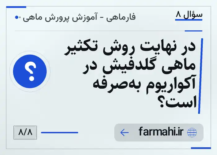 در نهایت روش تکثیر ماهی گلدفیش در آکواریوم به‌صرفه است؟