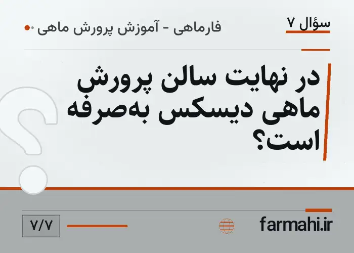 در نهایت سالن پرورش ماهی دیسکس به‌صرفه است؟
