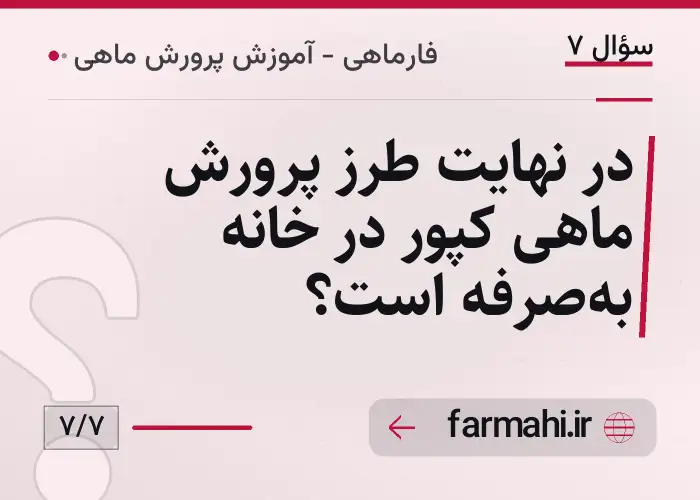 در نهایت طرز پرورش ماهی کپور در خانه به‌صرفه است؟