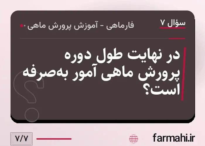 در نهایت طول دوره پرورش ماهی آمور به‌صرفه است؟