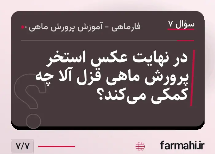 در نهایت عکس استخر پرورش ماهی قزل آلا چه کمکی می‌کند؟