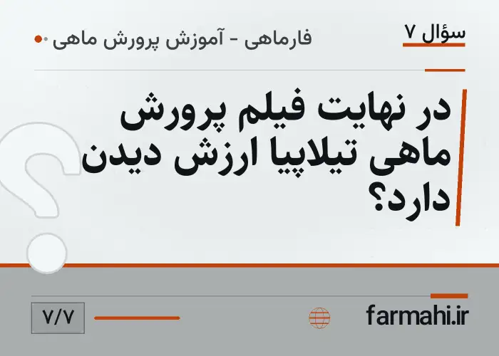 در نهایت فیلم پرورش ماهی تیلاپیا ارزش دیدن دارد؟