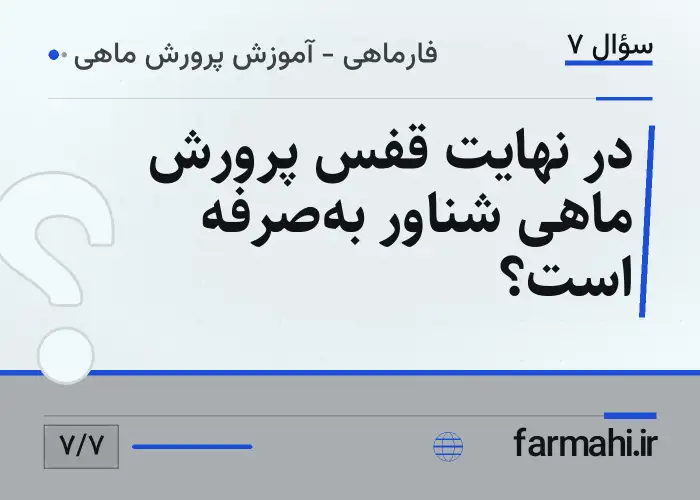 در نهایت قفس پرورش ماهی شناور به‌صرفه است؟