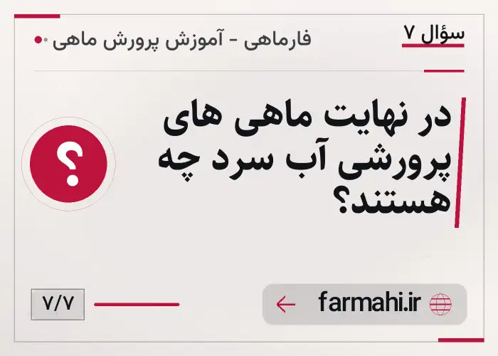 در نهایت ماهی های پرورشی آب سرد چه هستند؟