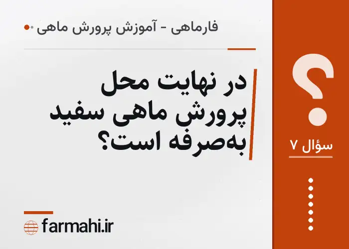 در نهایت محل پرورش ماهی سفید به‌صرفه است؟
