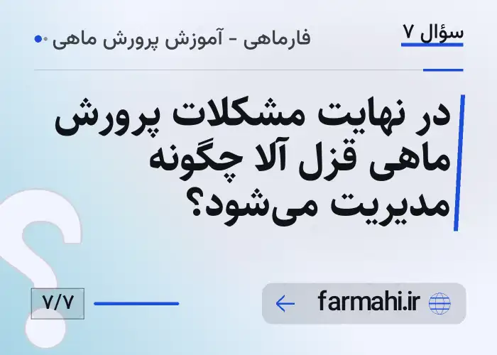 در نهایت مشکلات پرورش ماهی قزل آلا چگونه مدیریت می‌شود؟