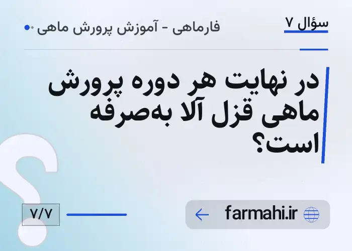 در نهایت هر دوره پرورش ماهی قزل آلا به‌صرفه است؟