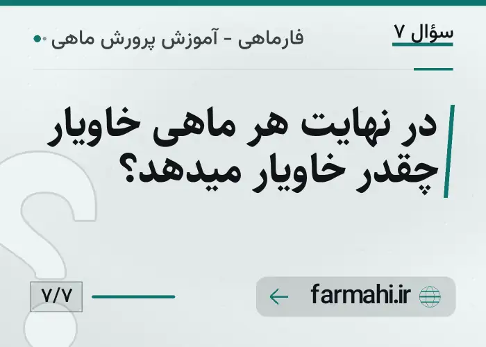 در نهایت هر ماهی خاویار چقدر خاویار میدهد؟