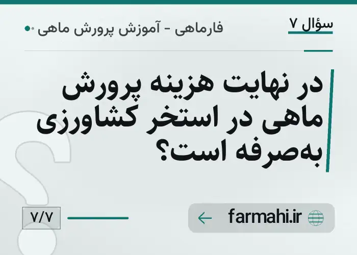 در نهایت هزینه پرورش ماهی در استخر کشاورزی به‌صرفه است؟