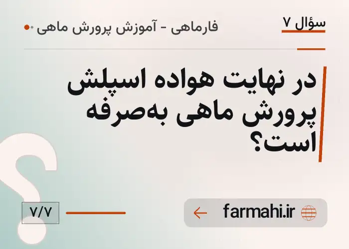 در نهایت هواده اسپلش پرورش ماهی به‌صرفه است؟