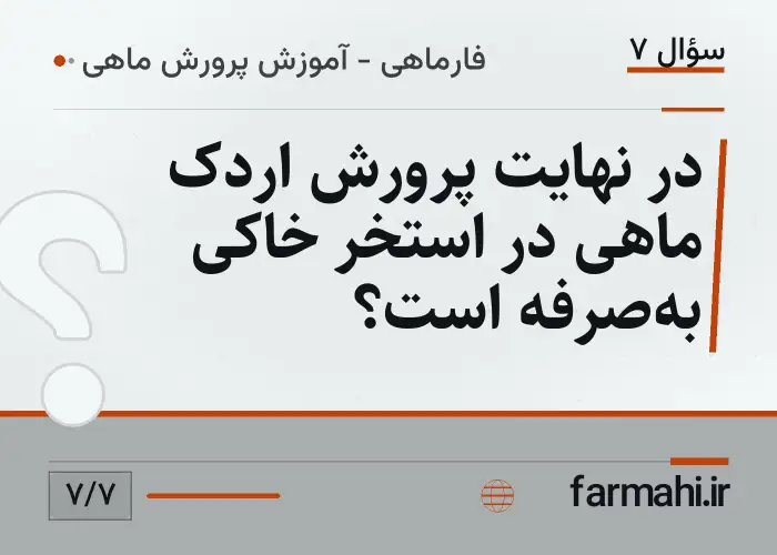 در نهایت پرورش اردک ماهی در استخر خاکی به‌صرفه است؟