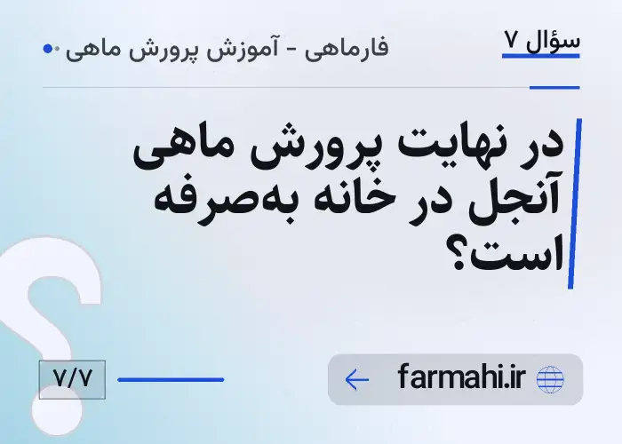 در نهایت پرورش ماهی آنجل در خانه به‌صرفه است؟