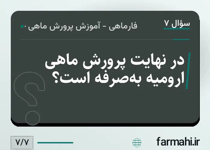 در نهایت پرورش ماهی ارومیه به‌صرفه است؟
