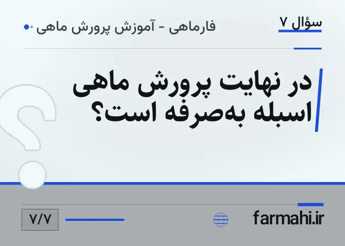 در نهایت پرورش ماهی اسبله به‌صرفه است؟
