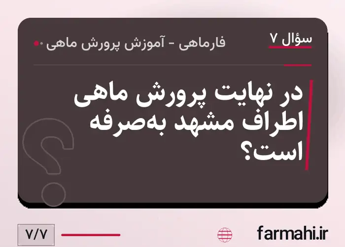 در نهایت پرورش ماهی اطراف مشهد به‌صرفه است؟