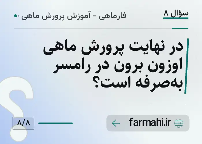 در نهایت پرورش ماهی اوزون برون در رامسر به‌صرفه است؟