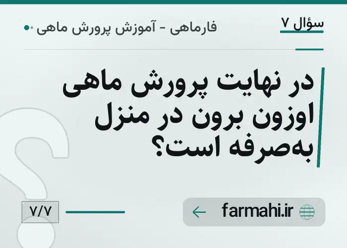در نهایت پرورش ماهی اوزون برون در منزل به‌صرفه است؟