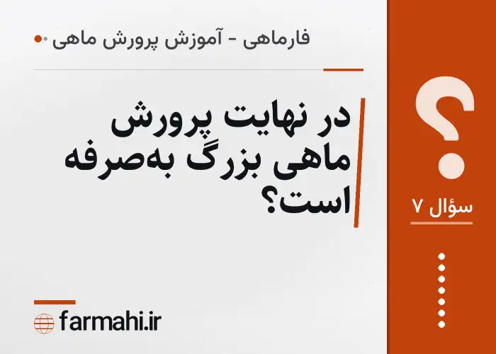 در نهایت پرورش ماهی بزرگ به‌صرفه است؟