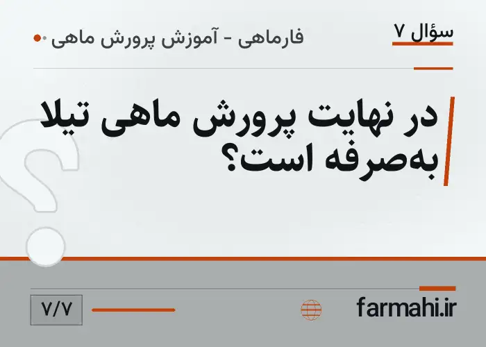 در نهایت پرورش ماهی تیلا به‌صرفه است؟