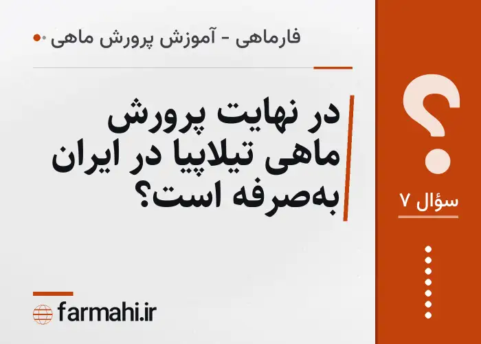 در نهایت پرورش ماهی تیلاپیا در ایران به‌صرفه است؟