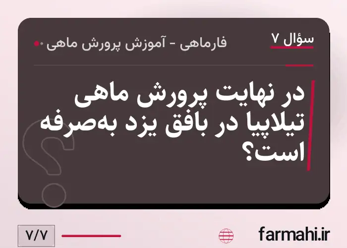 در نهایت پرورش ماهی تیلاپیا در بافق یزد به‌صرفه است؟