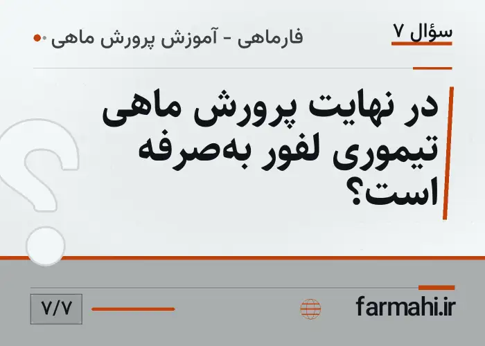 در نهایت پرورش ماهی تیموری لفور به‌صرفه است؟
