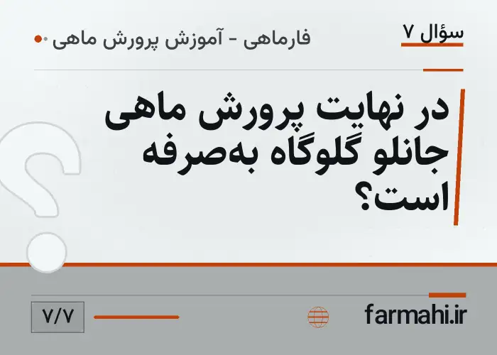 در نهایت پرورش ماهی جانلو گلوگاه به‌صرفه است؟