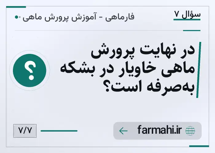 در نهایت پرورش ماهی خاویار در بشکه به‌صرفه است؟