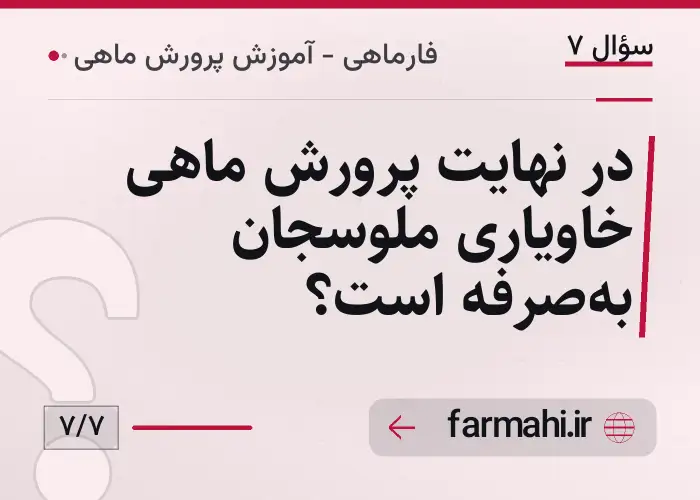 در نهایت پرورش ماهی خاویاری ملوسجان به‌صرفه است؟