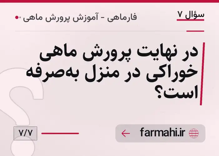 در نهایت پرورش ماهی خوراکی در منزل به‌صرفه است؟