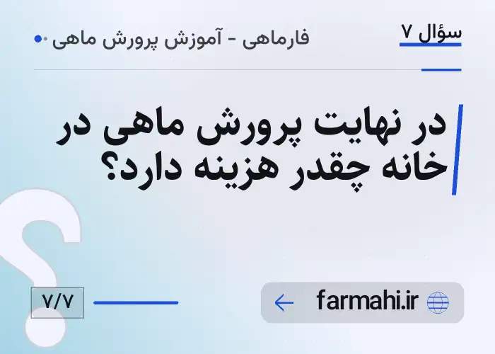 در نهایت پرورش ماهی در خانه چقدر هزینه دارد؟