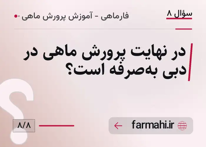 در نهایت پرورش ماهی در دبی به‌صرفه است؟