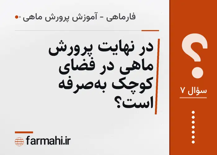 در نهایت پرورش ماهی در فضای کوچک به‌صرفه است؟