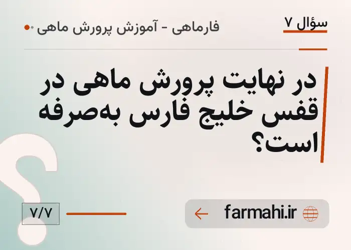 در نهایت پرورش ماهی در قفس خلیج فارس به‌صرفه است؟