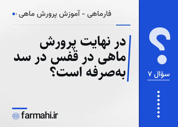 در نهایت پرورش ماهی در قفس در سد به‌صرفه است؟
