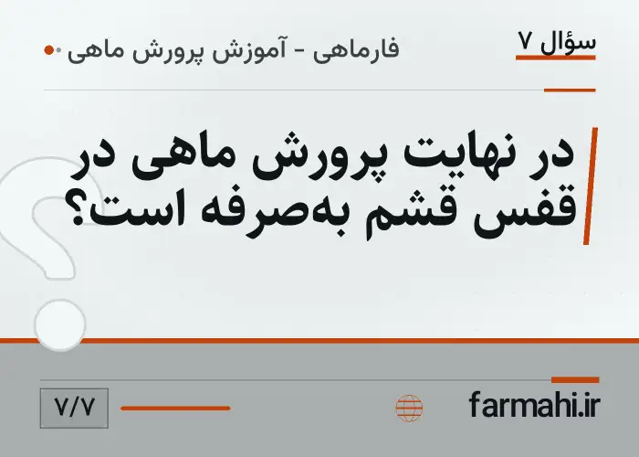 در نهایت پرورش ماهی در قفس قشم به‌صرفه است؟
