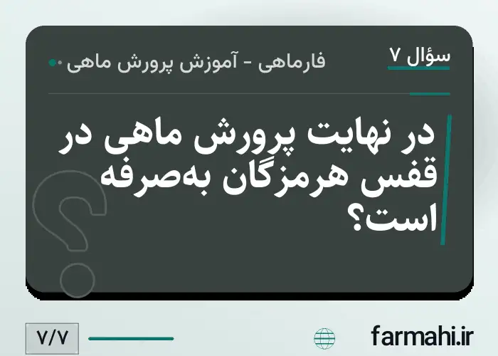 در نهایت پرورش ماهی در قفس هرمزگان به‌صرفه است؟