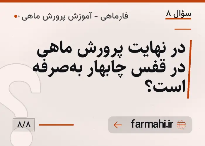 در نهایت پرورش ماهی در قفس چابهار به‌صرفه است؟