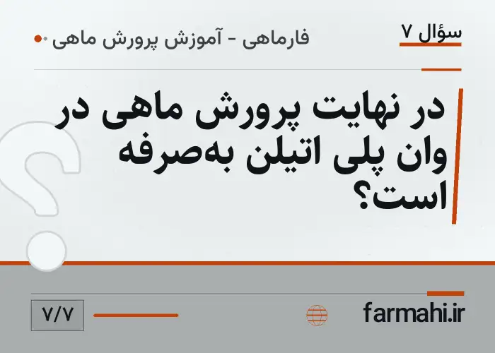 در نهایت پرورش ماهی در وان پلی اتیلن به‌صرفه است؟