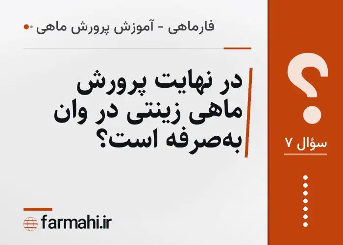 در نهایت پرورش ماهی زینتی در وان به‌صرفه است؟