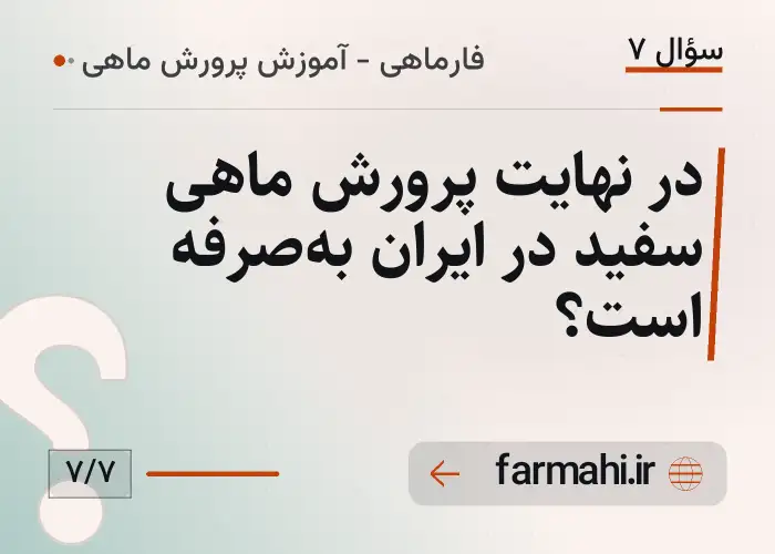 در نهایت پرورش ماهی سفید در ایران به‌صرفه است؟