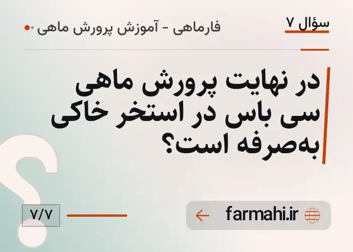 در نهایت پرورش ماهی سی باس در استخر خاکی به‌صرفه است؟