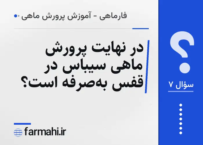 در نهایت پرورش ماهی سیباس در قفس به‌صرفه است؟