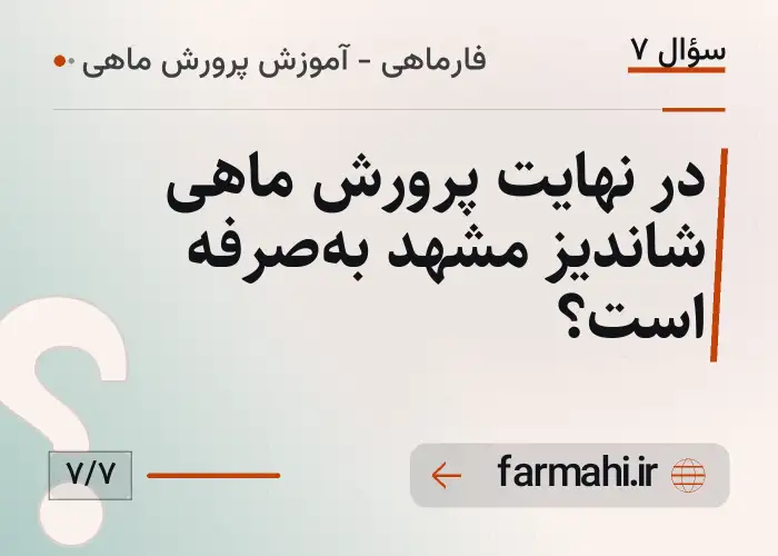 در نهایت پرورش ماهی شاندیز مشهد به‌صرفه است؟