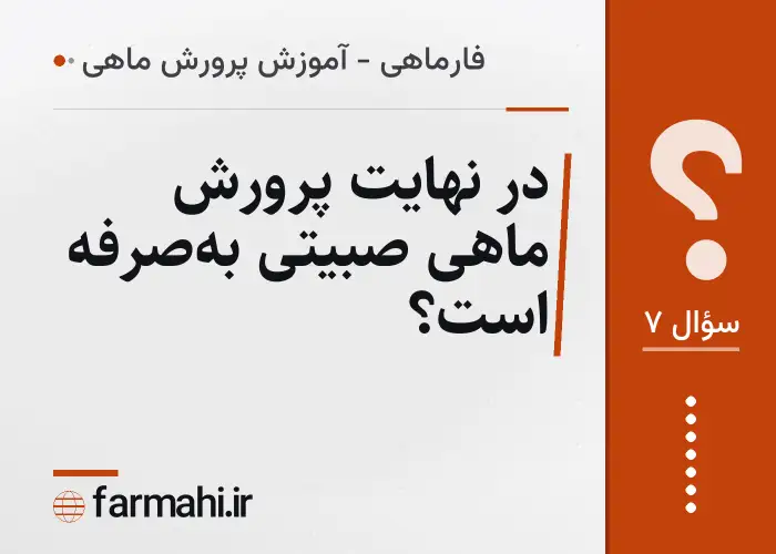 در نهایت پرورش ماهی صبیتی به‌صرفه است؟